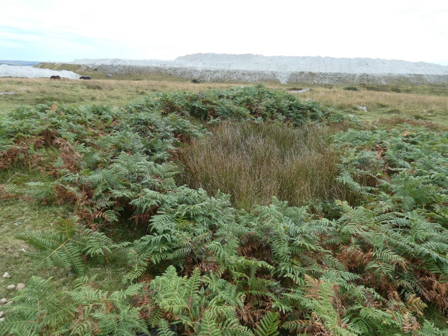 Saddlesborough Stone Ring Cairn Circle 