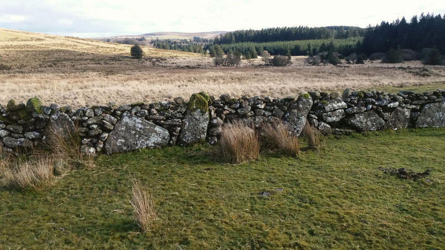 Thornworthy Reported Stone Circle