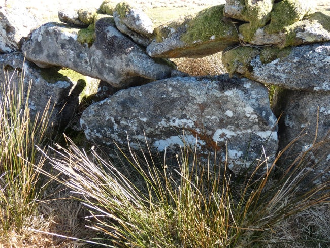 Thornworthy Reported Stone Circle
