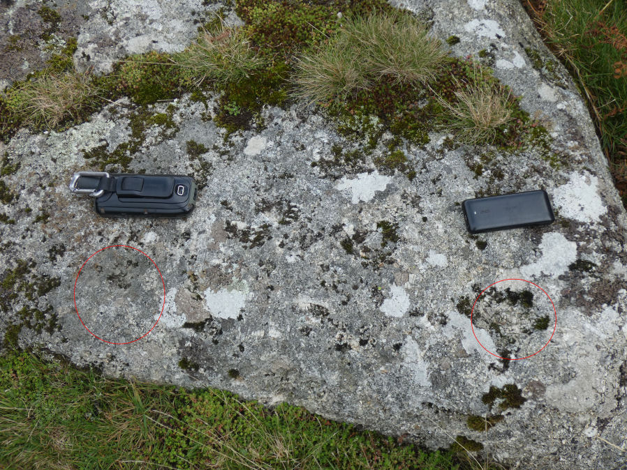 Deancombe Valley Cup Stone