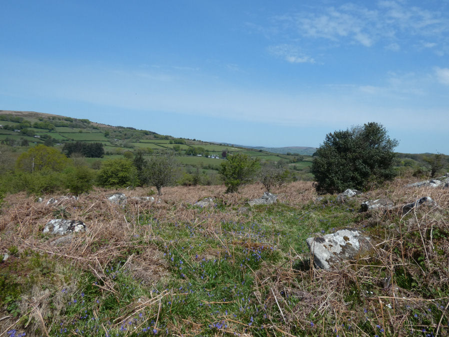 Hayne Down Round House