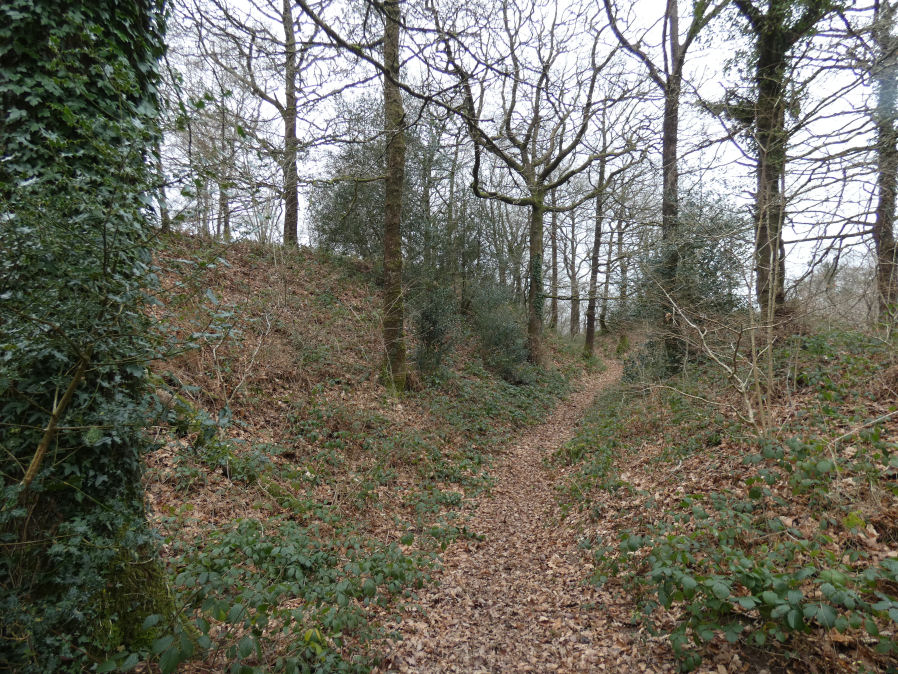 Hembury Castle (Buckfast) Fort