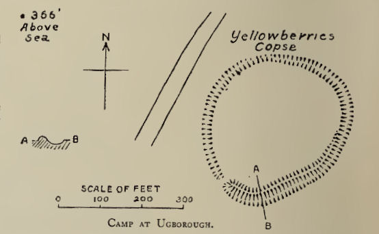 Yellowberries Copse Fort