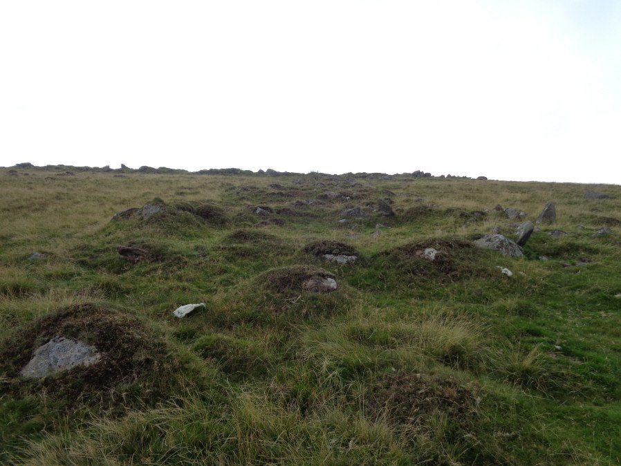 Penn Beacon E Round House