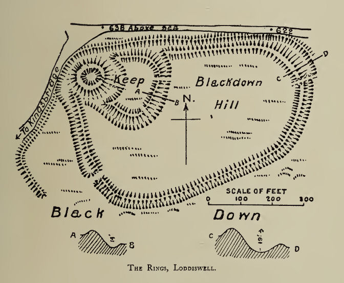 Blackdown Rings (Loddiswell) Fort