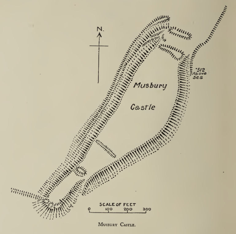 Musbury Castle Fort