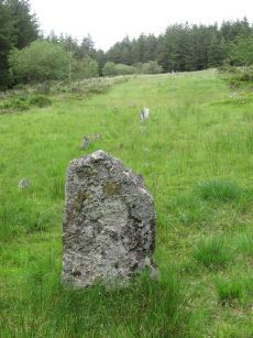 Assycombe Standing Stone