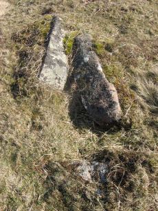 Brockhill Ford Ring Setting Cairn and Cist
