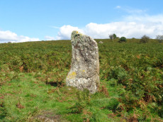 Butterdon Hill (nr. Moretonhampstead) Standing Stone