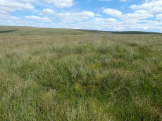 Greena Ball 2 Clearance Cairn