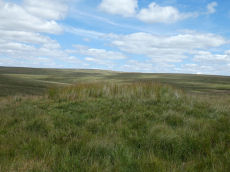 Greena Ball 3 Clearance Cairn