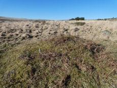 Scorhill S.4 Reported Cairn