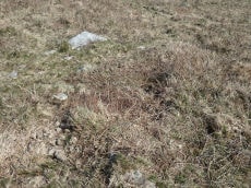 Throwleigh Common 5 Clearance Cairn