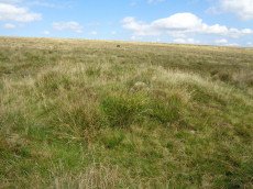 Kennon Hill S.W.1 Cairn