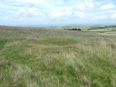 Black Down Cairn