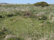 Ringmoor Down 13 Reported Cairn