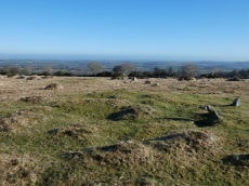 Scorhill N.1 Cairn