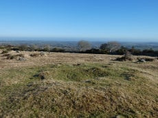Scorhill N.2 Cairn