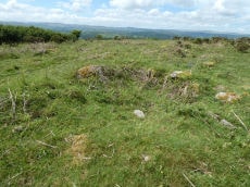 Butterdon Down 2 Cairn