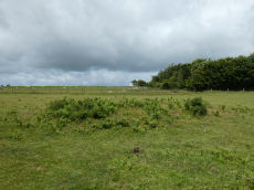 Okehampton Camp Road 1 Cairn