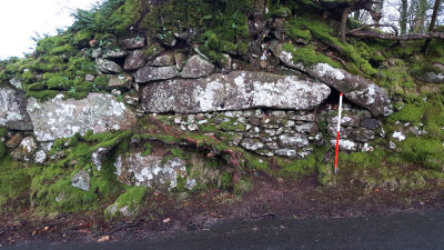 Shilstone Lane Reported Cairn