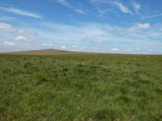 Langstone Moor (PET 40b) Clearance Cairn