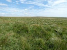 Langstone Moor (PET 40d) Clearance Cairn