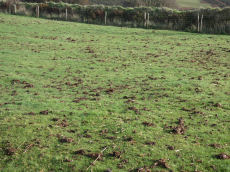 East Bowden 3 Reported Cairn