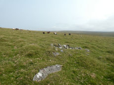 White Tor S.S.E.9 Cairn