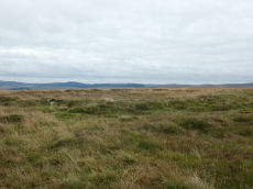 Cosdon Beacon East Stone Ring Cairn Circle 