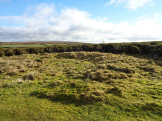 Mardon Down (E) Stone Ring Cairn Circle 