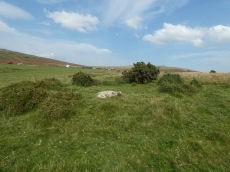 Whitchurch Common (N) Stone Ring Cairn Circle 