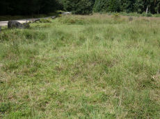 Fernworthy Barrow C Cairn