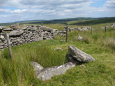 Joan Ford's Newtake Embanked Cairn Circle and Cist