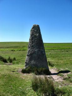 Drizzlecombe S. Standing Stone