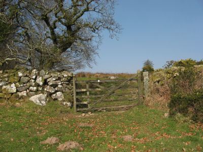 Hall Plantation gate on to moor at Burford Down near Tristis Rock