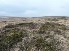 Buttern Hill S Round House