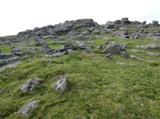 Gutter Tor Round House