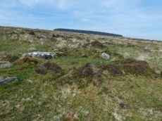 Hurston Ridge Round House