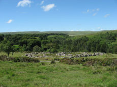 Round Pound Round House