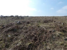 Throwleigh Common Round House