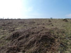 Throwleigh Common Round House