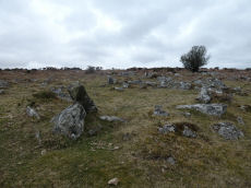 Throwleigh Common Round House