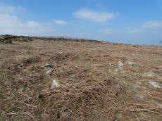 Throwleigh Common Round House