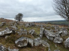 Throwleigh Common Round House