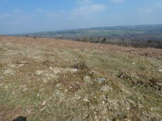 Throwleigh Common Round House