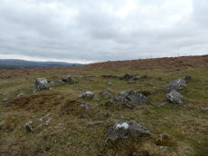 Throwleigh Common Round House