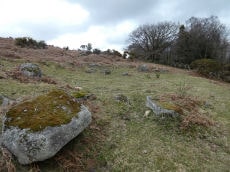 Throwleigh Common Round House