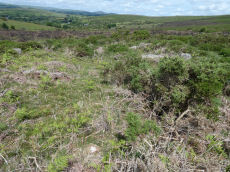 Yar Tor E Round House