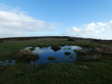 Easdon A Ancient Pool